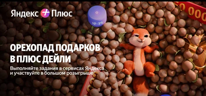 The real nut fall is not from Yandex - Hazel, A wave of posts, Yandex., Video, Soundless, Vertical video, Hazelnut (rocket)