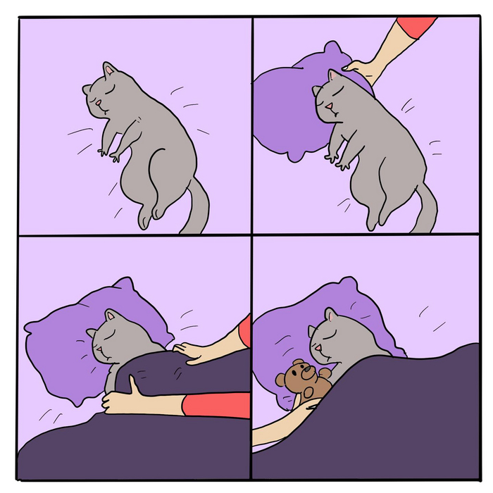    ,      , , , -,  , 
