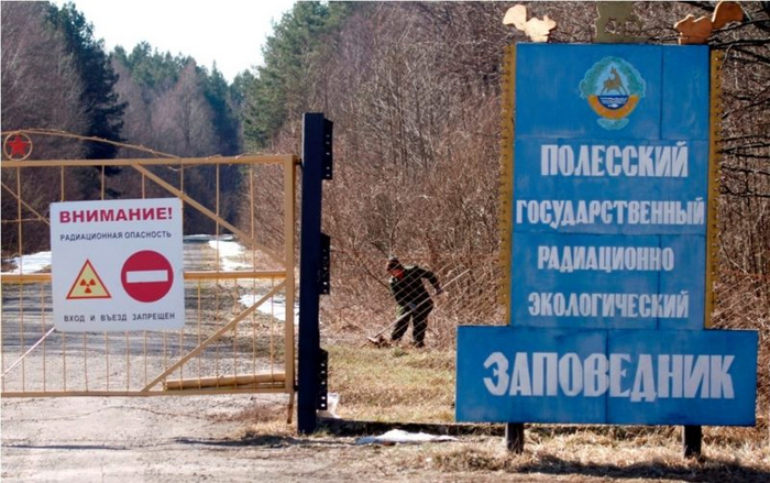 Радиационно-экологический заповедник Полесье