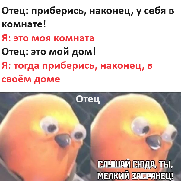 ,   , ,   , , , Telegram ()