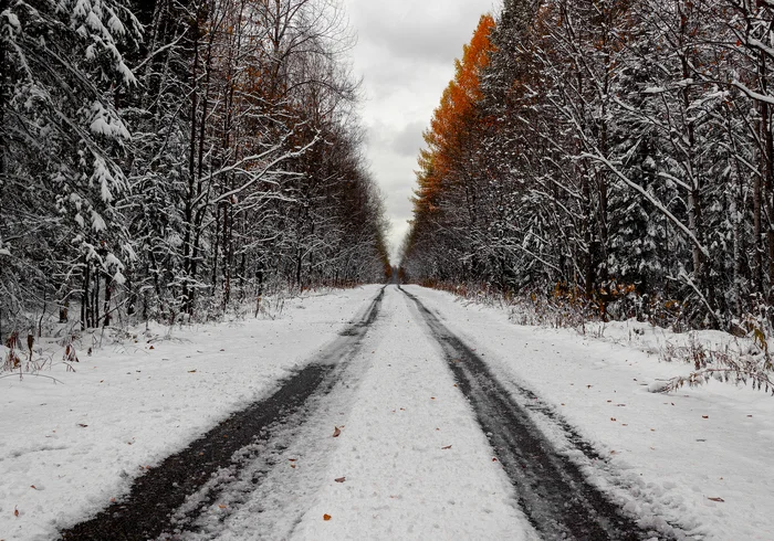 Directions - My, The photo, Canon, Nature, Landscape, Forest, Autumn, Road, Perspective, Snow, Middle Ural