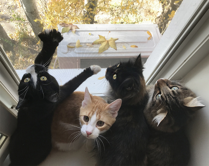 �����-�����, �� ����� � ������� �������, ��� �� ����, ������ ����!