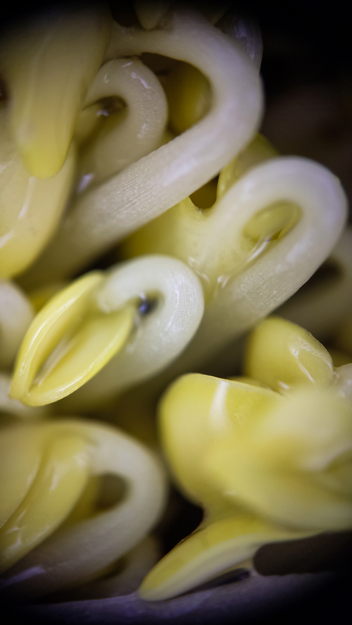 Налиты влагой