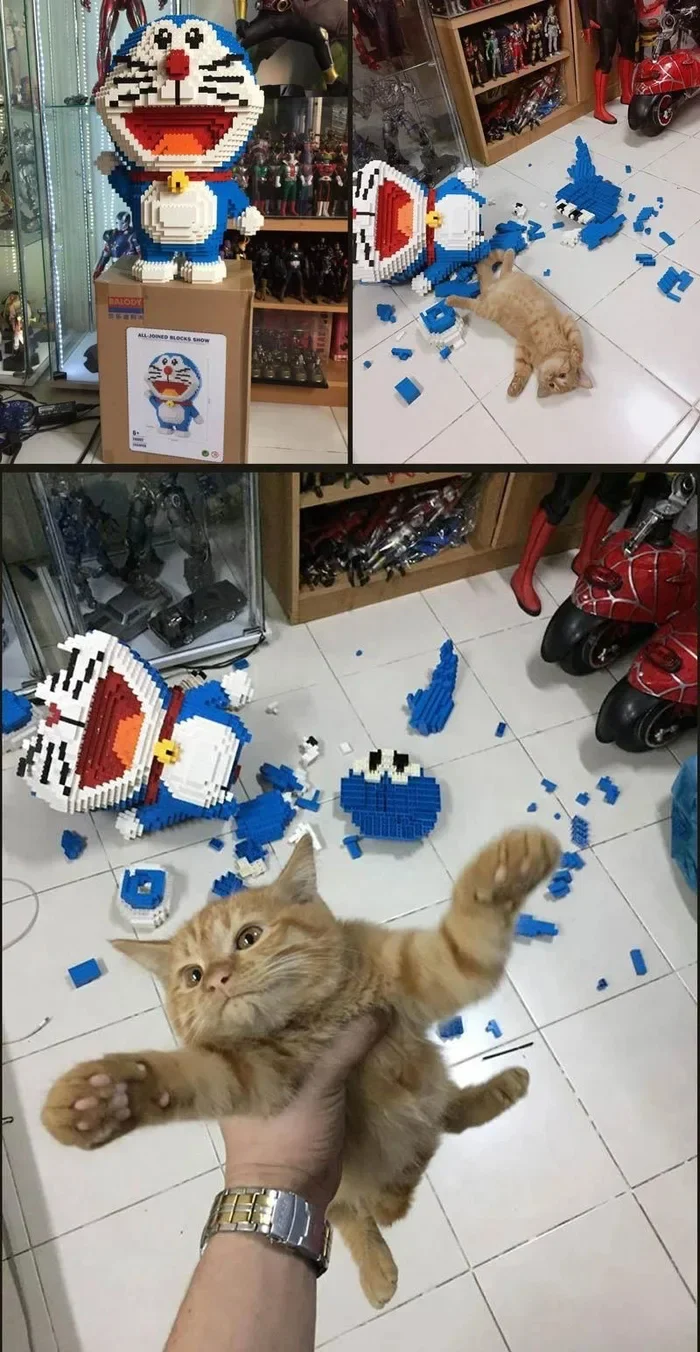 No regrets - Humor, cat, Lego, Destroyer