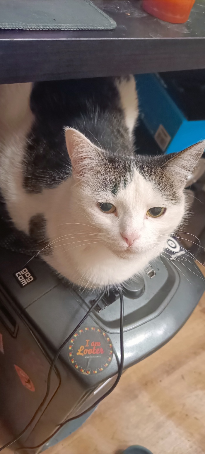 В темноте мы пляшем танго