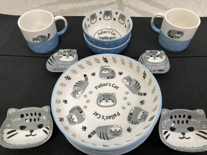 Мечта фаната <3