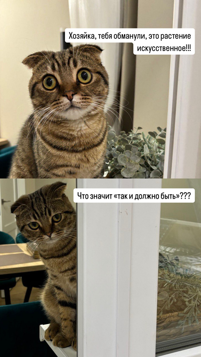       , , ,   