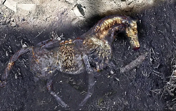 Sensational discovery: archaeologists found the legendary golden horse of King Mithridates near Anapa - My, Animals, Archeology, Sensation, Find, Opening, Gold, hidden treasures, Duck, Journalists, Horses, Longpost