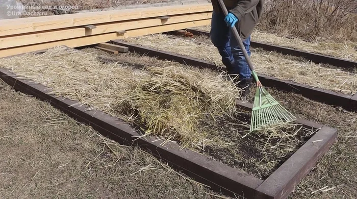 Such mulch can be dangerous. We analyze all the nuances and subtleties of covering materials - My, Gardening, Fertility, Organic farming, Dacha, Garden, Garden, Soil, Gardener, Harvest, Vegetables, Garden beds, Longpost