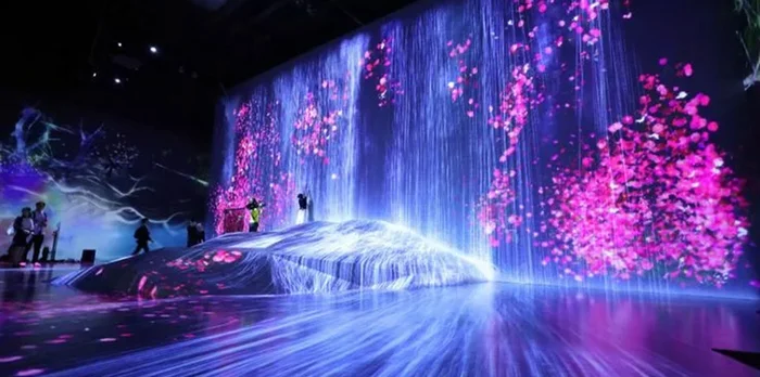 TeamLab Digital Art Museum, Tokyo - My, Nauchpop, The science, Scientists, Bloom, Civilization, Biology, Evolution, Planet Earth, Society, Research, Critical thinking, Universe, Land, Planet, Peace, Esoterics, Person, Longpost