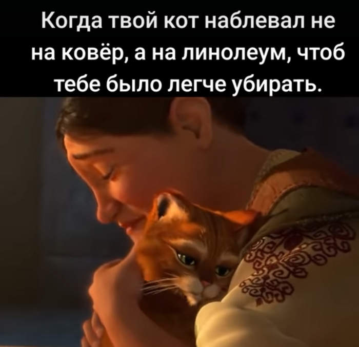  )