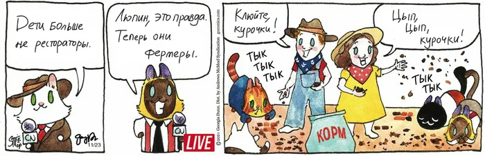 Koteikiny News from 23.11.2024 - My, Translation, Koteikin news (comic), cat, Comics