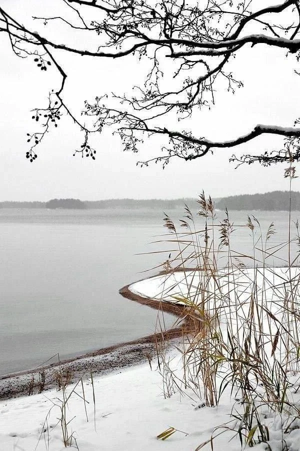 The best psychologist. I went for a walk, and rested, and got tired - Telegram (link), Nature, Lake, Forest, Beautiful view, Longpost