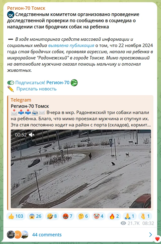 (NOT RATED) NEW WILD DOG ATTACK ON CHILD IN TOMSK - No rating, Dog, Negative, Swarms, Tomsk, Stray dogs, Петиция, Video, Telegram (link), Longpost