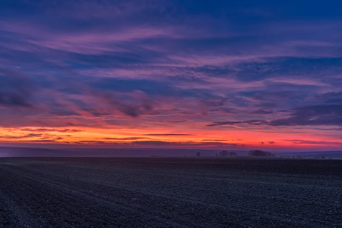 Dawn Fields (23.11.2024) - My, Field, Arable land, Steppe, Rostov region, Landscape, dawn, The photo