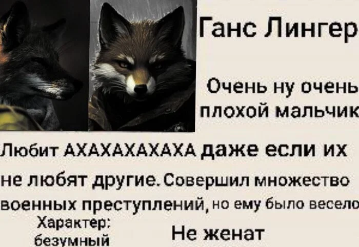 Ганс Лингер — стрелок, джентльмен удачи, поехавший тип - Моё, Dungeons & Dragons, Pathfinder, Настольные ролевые игры, Видео, Длиннопост