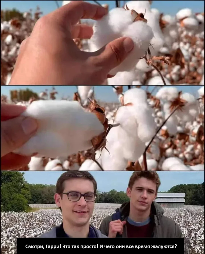 It's easy, isn't it? - Humor, Picture with text, Cotton (fabrics and plant), Slaves, Slavery