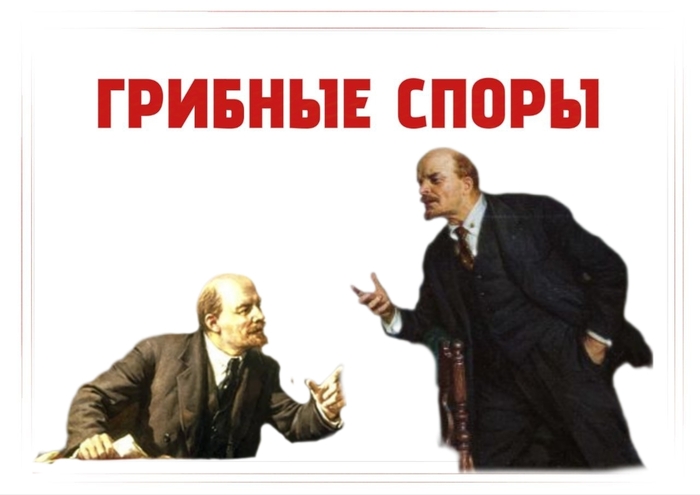   ))