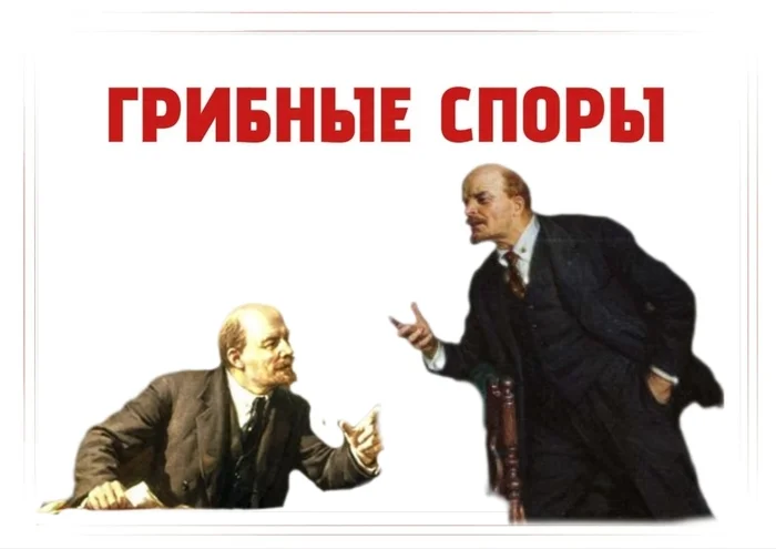 Old age is no joy)) - My, Lenin, Light addiction, Mushrooms, Came to mind, Last century, Picture with text