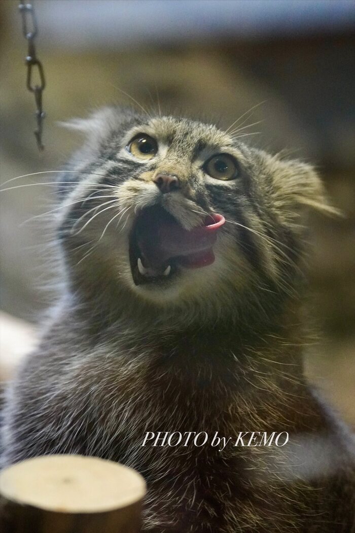 А вам слабо?