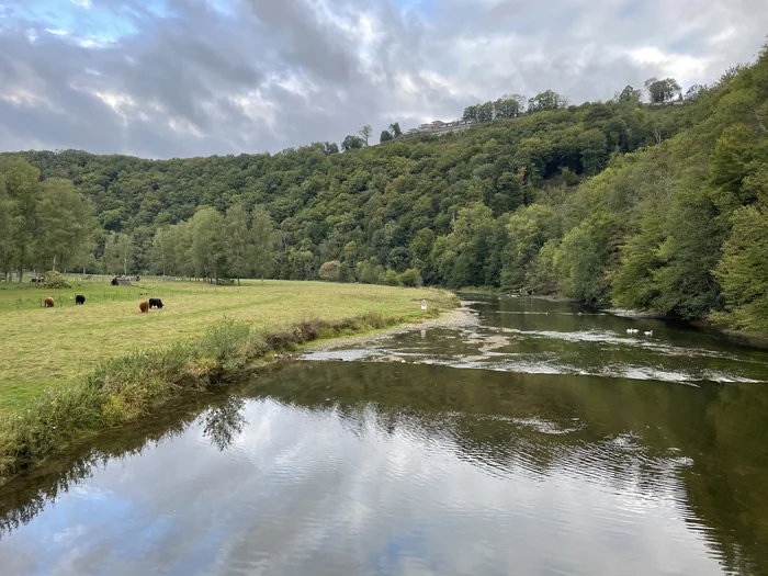 Mountain river and mountain meadows - My, Mountain river, Cow