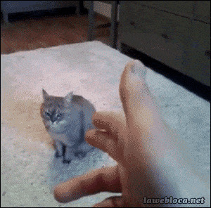   , , , 