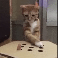   , , , 