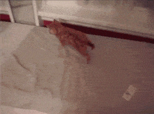   , , , 