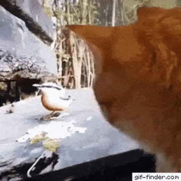   , , , 