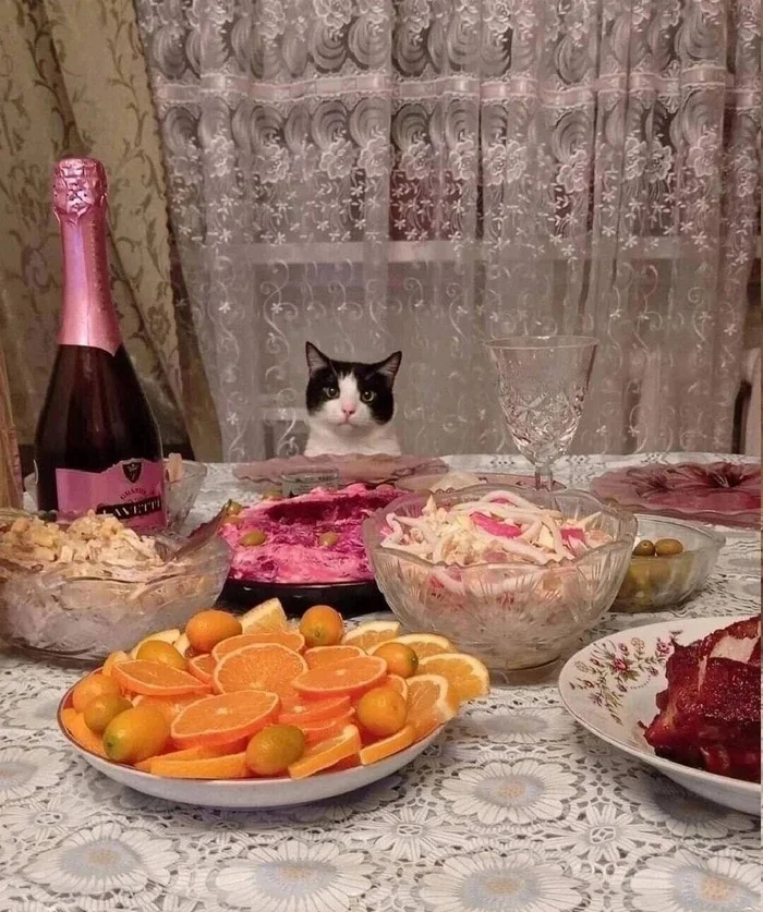 Soon - Humor, Picture with text, The photo, cat, New Year, Festive table