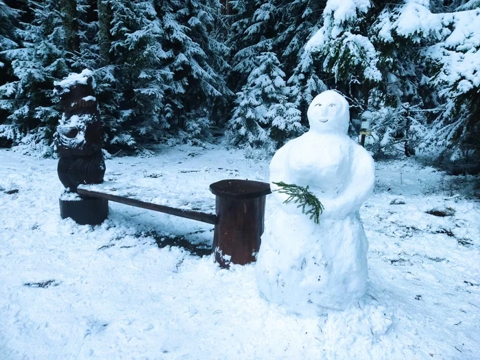 Snow woman - My, snowman, Snow, Snowfall, Longpost, First snow, The photo