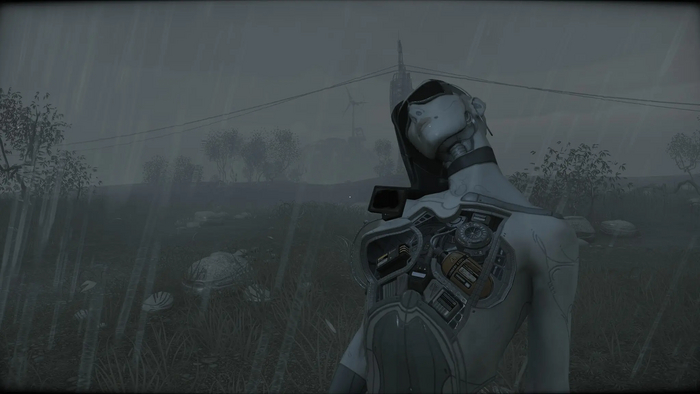 ��� ��������� �������� ���