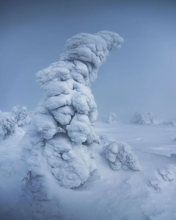 Local resident of winter Taganay - My, Landscape, The photo, Southern Urals, Beautiful view, Ural mountains, Taganay