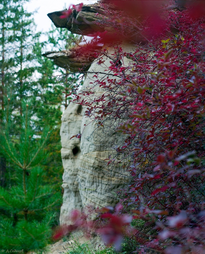 ��������� �� ���� ��� ���������� ����������, ������������ � �����.