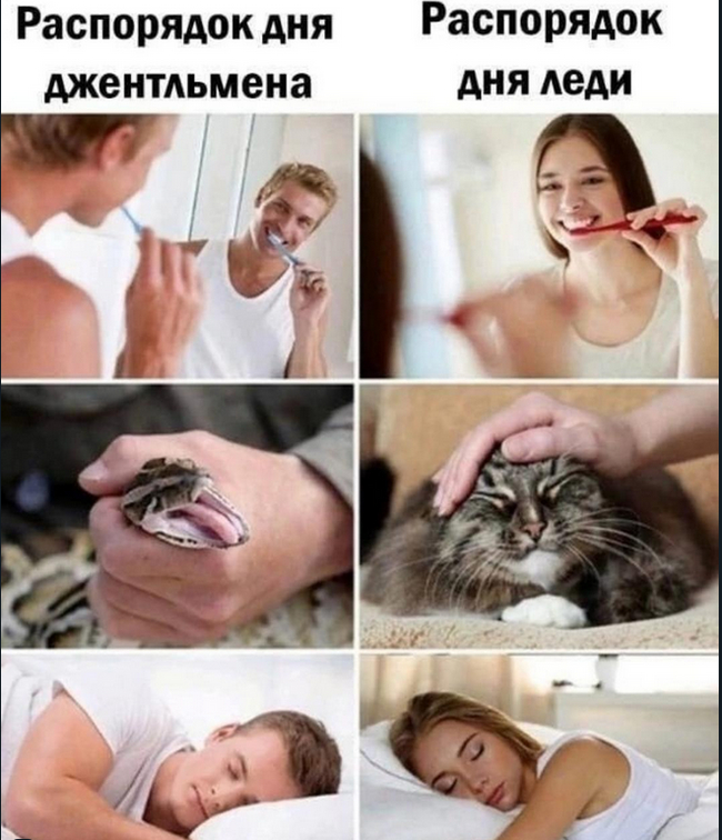   , ,   