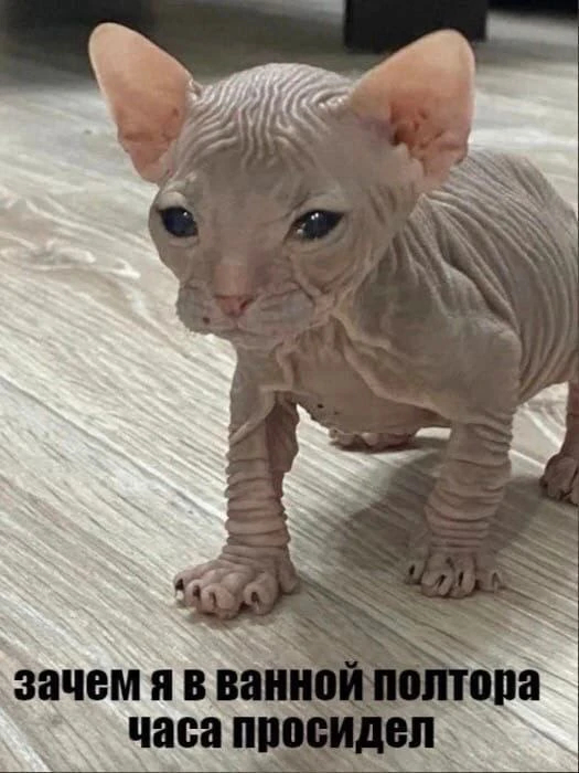 ?   , , , , 