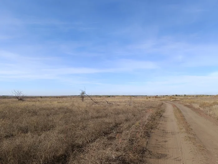 Bike ride in Samara region. Bezenchuk - Obsharovka - Bezenchuk - My, Bike ride, A bike, Samara, Samara Region, Longpost, Bike trip, Video, Vertical video