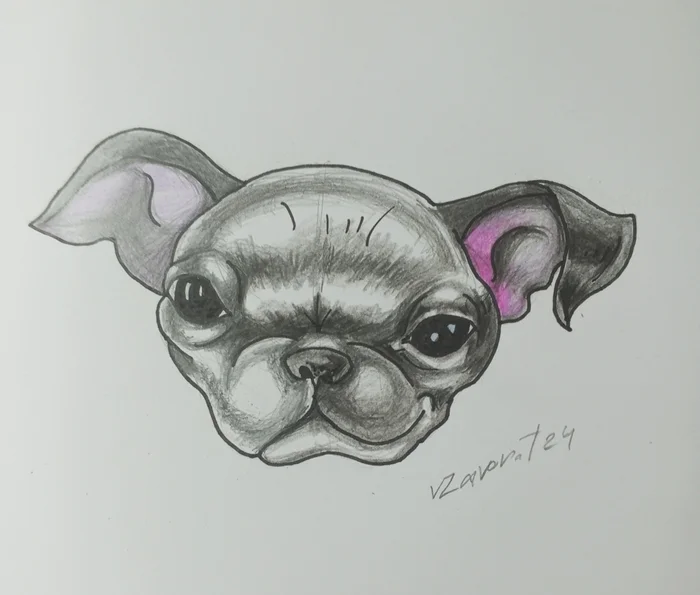 I decided to draw my daughter's menacing dog - My, Kalyaki-Malyaki, Dog