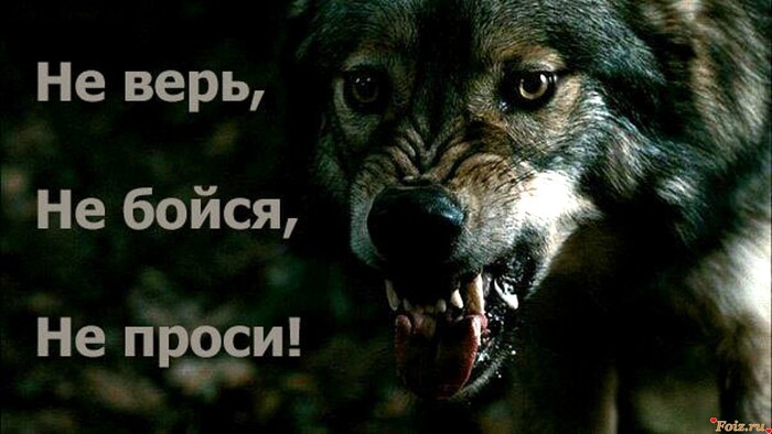 Инструкция к жизни: