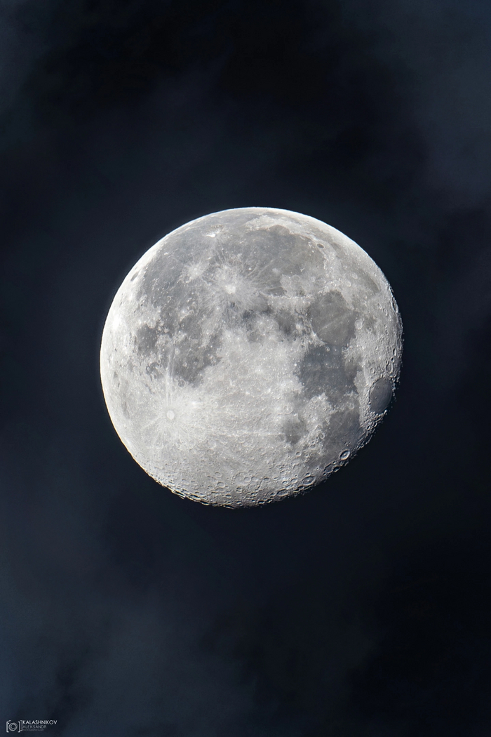 Sony a7iii + sony 600mm