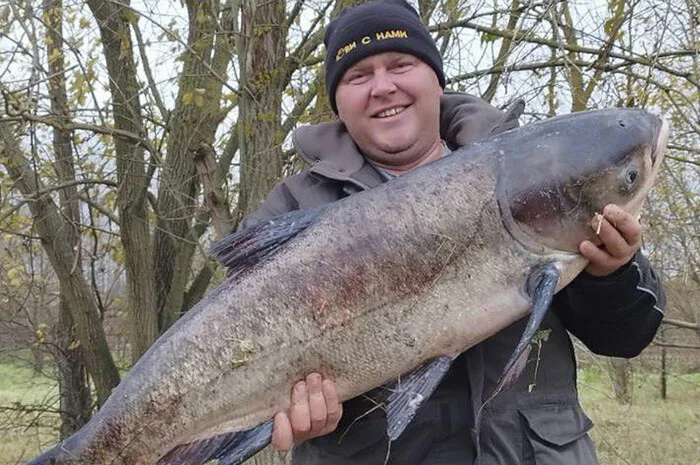 A fisherman in Minsk caught a huge carp weighing 18 kilograms, and then pulled out a similar silver carp - Fishing, Catch, Minsk, Republic of Belarus, Carp, Silver carp, Instagram (link)