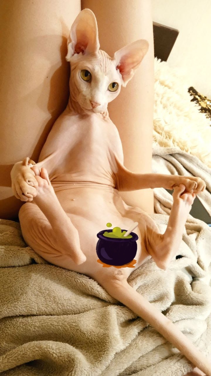     , , 