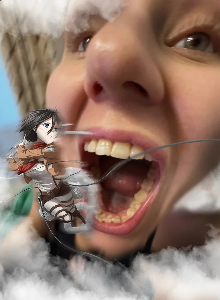 Когда у кого то в семье больной юмор - Моё, Юмор, Attack on titan, Аниме