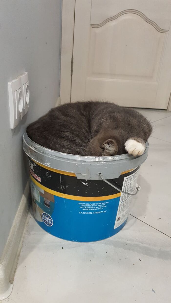 Можно спокойно спать в ведре с грецкими орехами :)