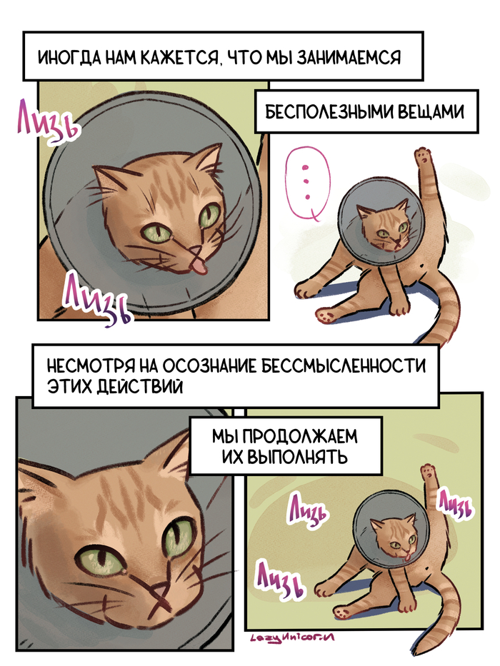 Котофилософия