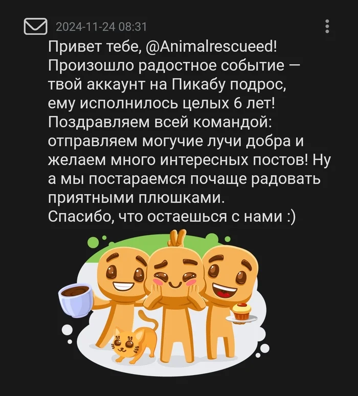 6 years on Pikabu. 792 homeless cats became domestic - My, Helping animals, Tosno, Animal Rescue, Animal shelter, Gratitude, The strength of the Peekaboo, Pick-up headphones, Longpost, cat