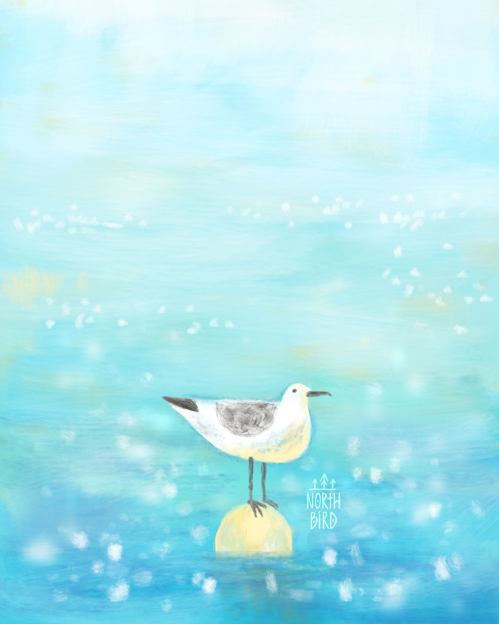 Чайка и море