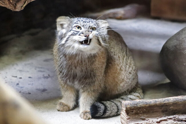 Не доволен заканчивающимися выходными...