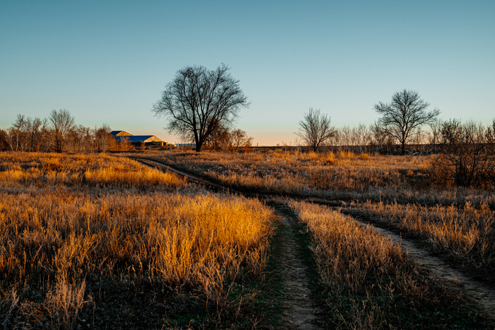 Дорога домой
