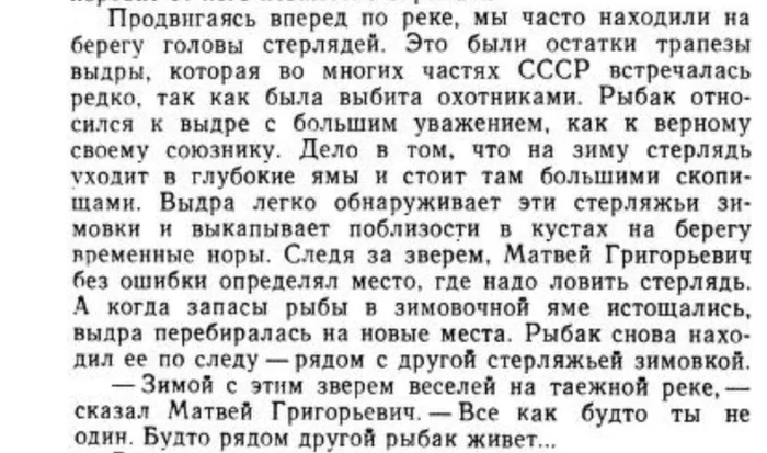 Рассказы натуралиста. П.А.Мантейфель - Моё, Натуралист, Биологи, Выдра, Стерлядь, Скриншот